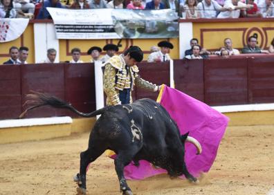 Imagen secundaria 1 - El ganado desluce la encerrona de Perera en Badajoz
