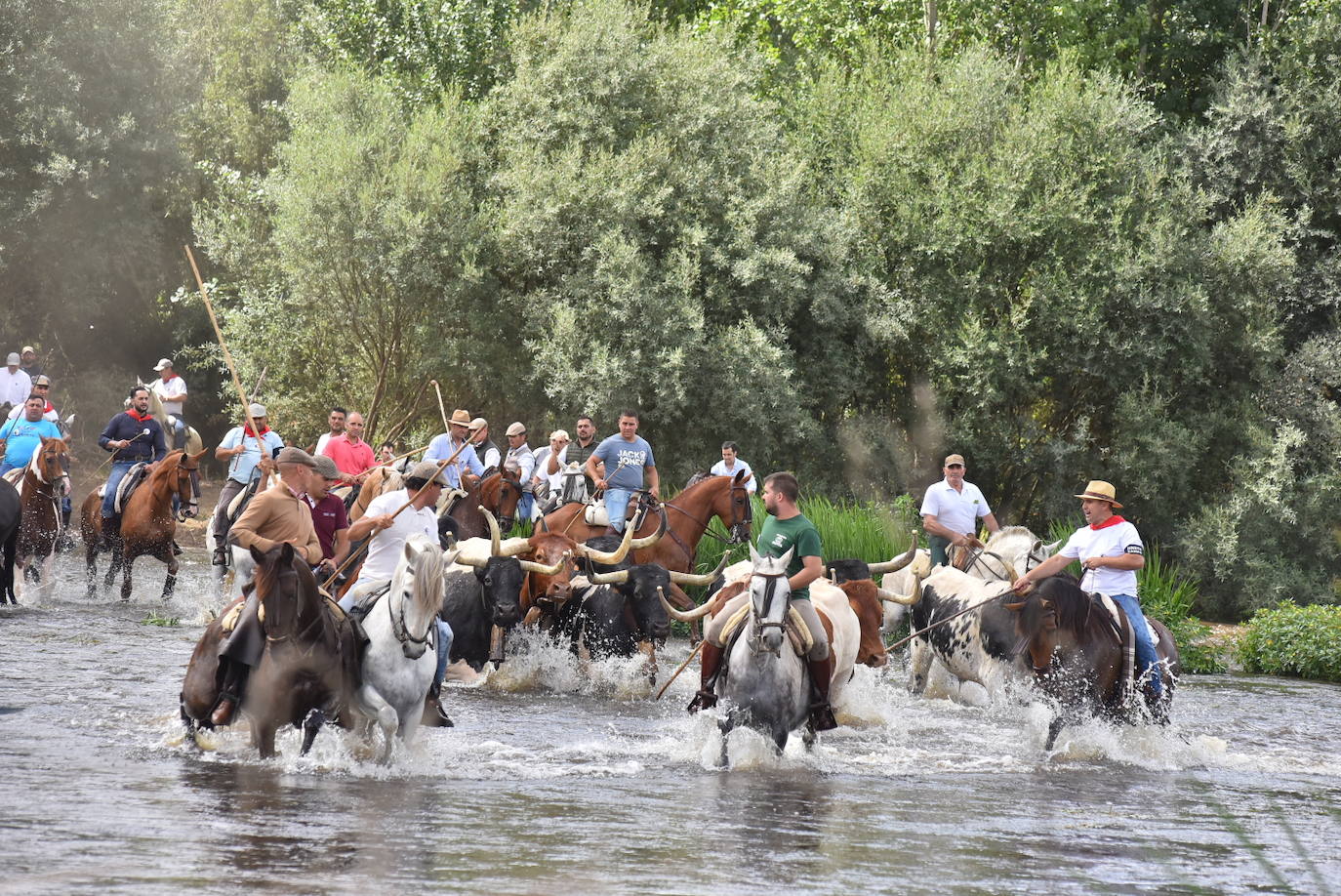 Fotos: Capeones y caballistas vadean el río Alagón