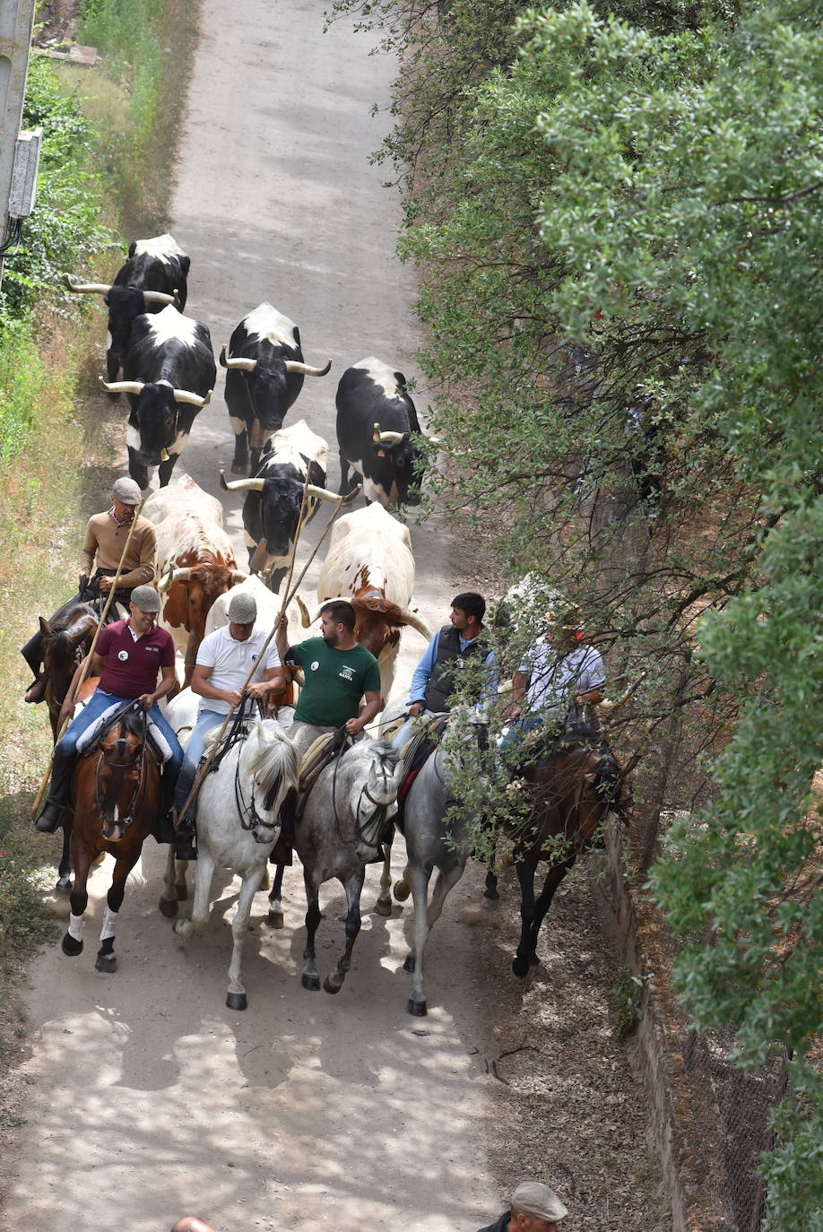 Fotos: Capeones y caballistas vadean el río Alagón