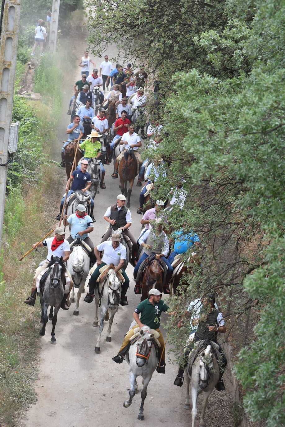Fotos: Capeones y caballistas vadean el río Alagón