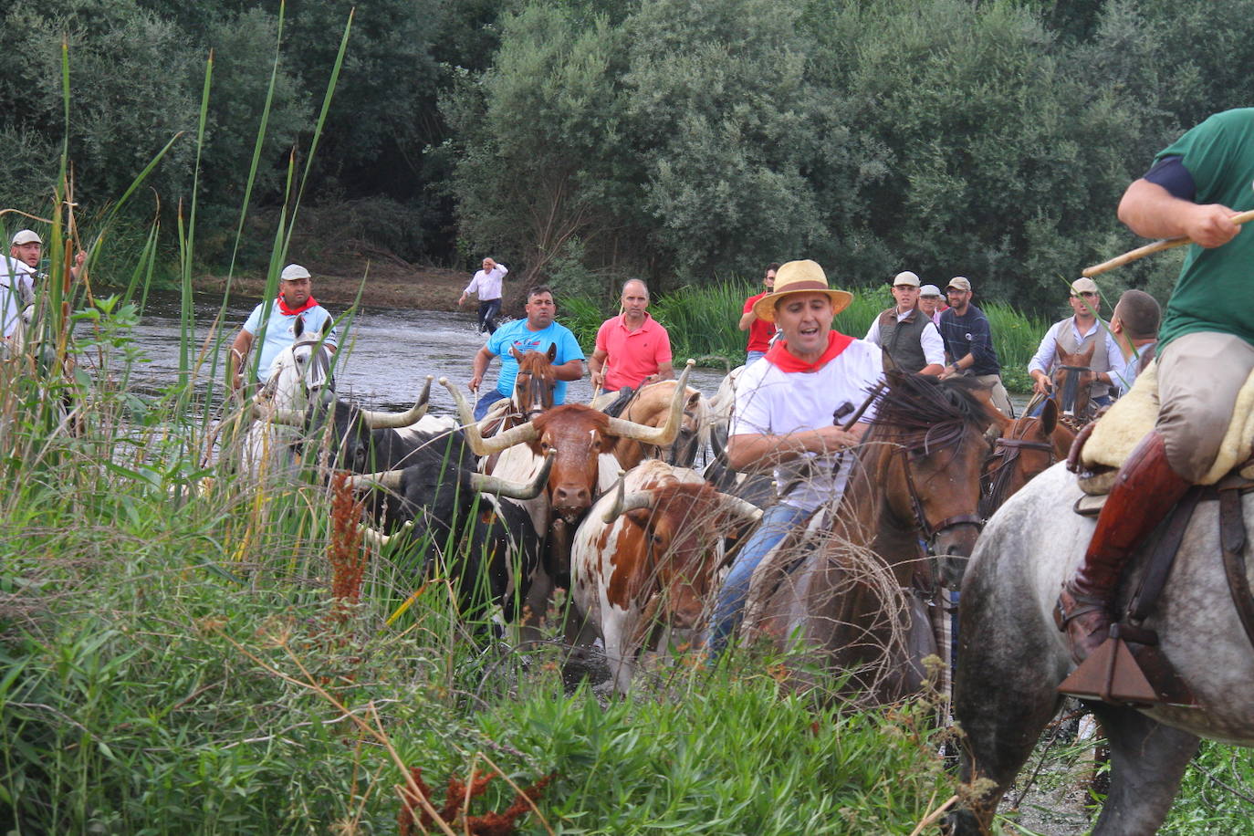 Fotos: Capeones y caballistas vadean el río Alagón