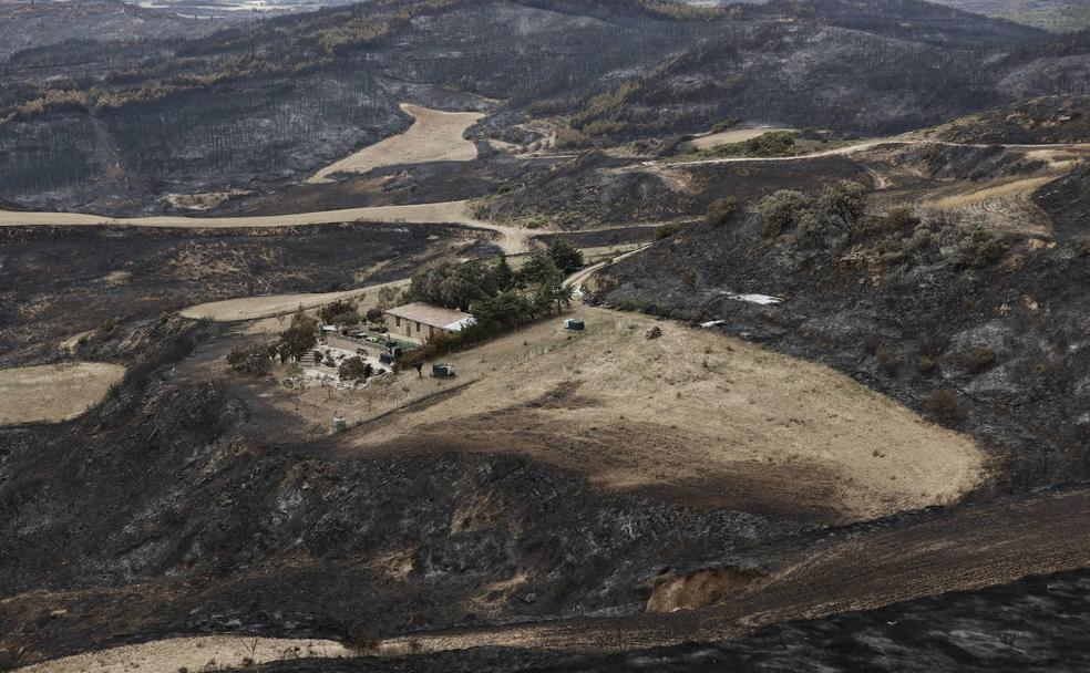 Parte del terreno de la Sierra de la Culebra abrasado por el fuego.