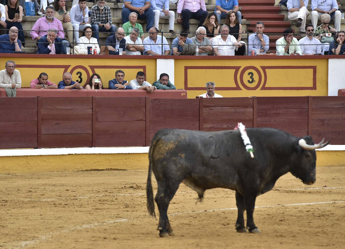 Fotos: El ganado desluce la encerrona de Perera en Badajoz