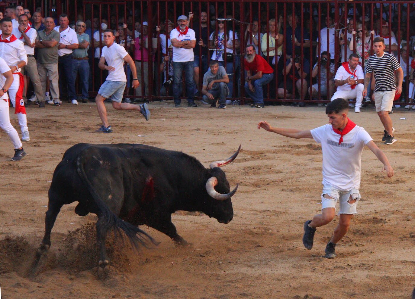 'Lastimero' decepciona a las calles de Coria en la tarde del día 24. 