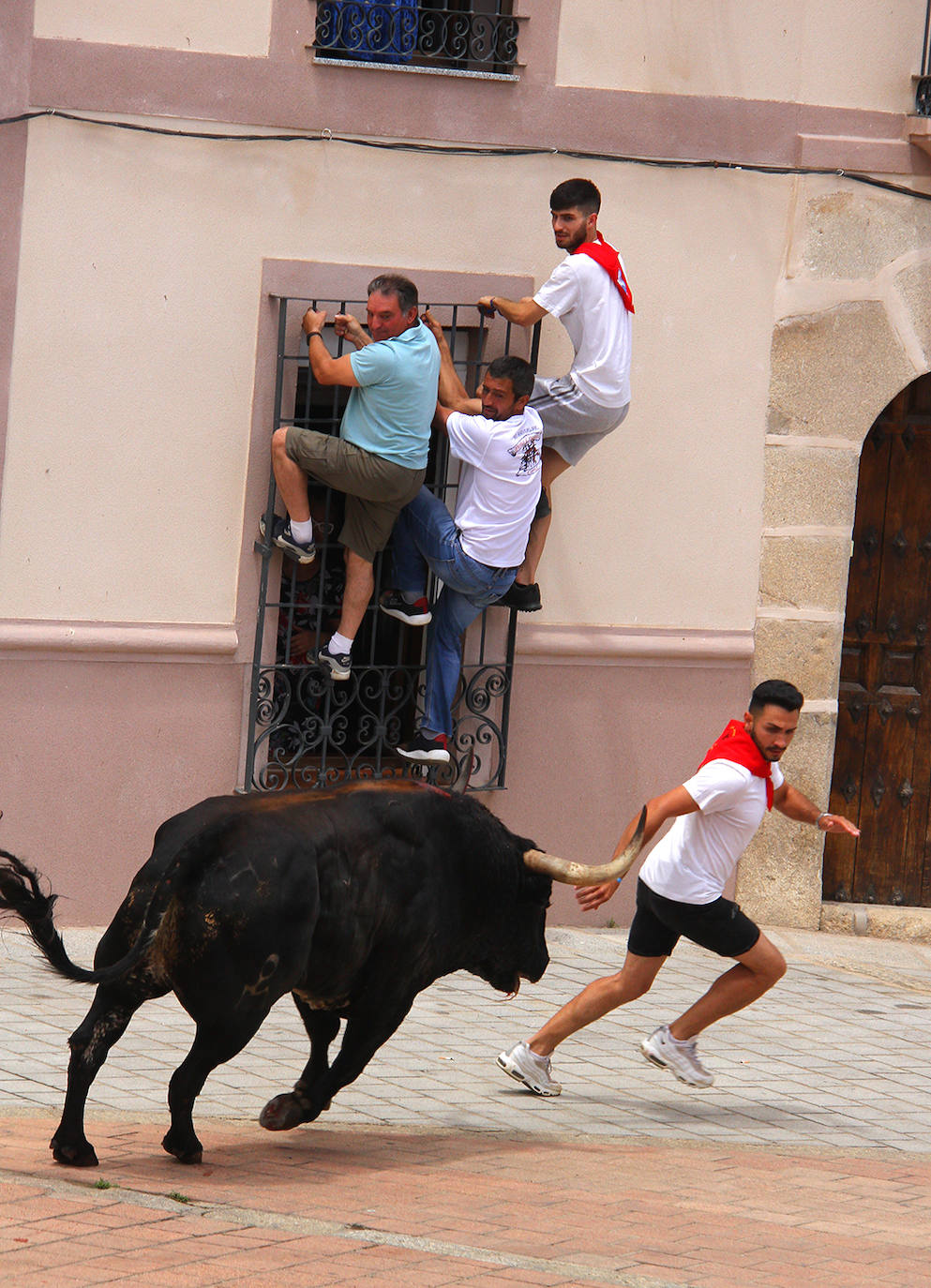 'Ratonero', de la ganadería de Pablo Mayoral, deja un herido en la plaza en la mañana del 25.