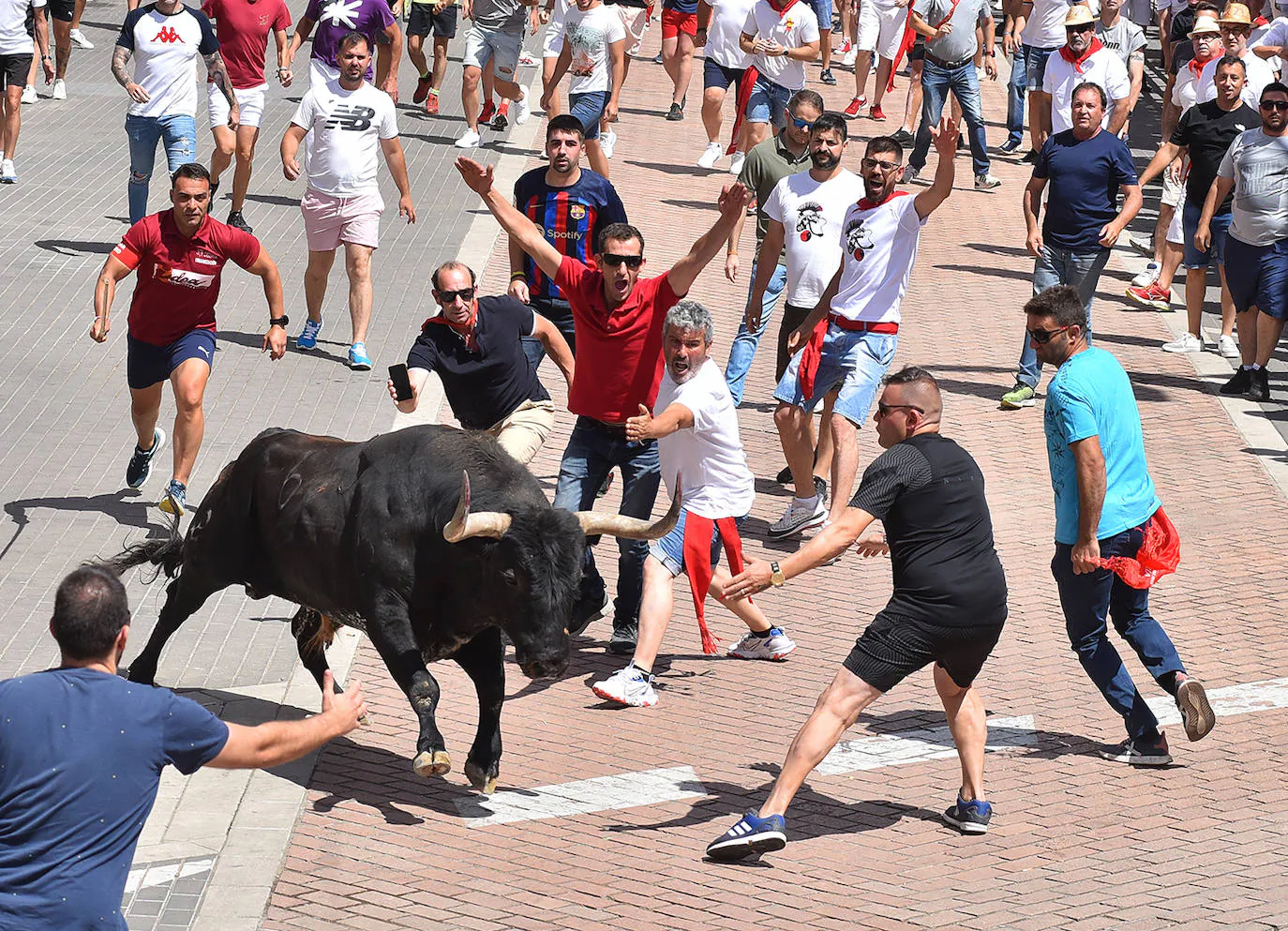'Ratonero', de la ganadería de Pablo Mayoral, deja un herido en la plaza en la mañana del 25.