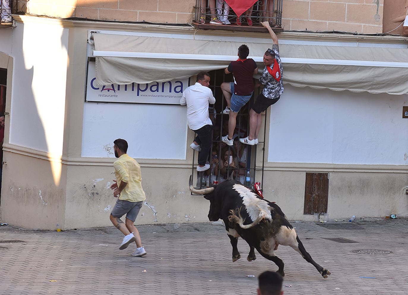 La Junta de Defensa triunfa también con el toro de la tarde del día 25 en Coria, 'Castañero'.