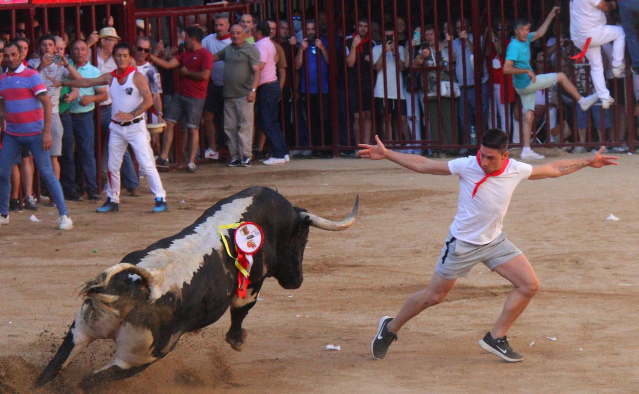 La Junta de Defensa triunfa también con el toro de la tarde en Coria