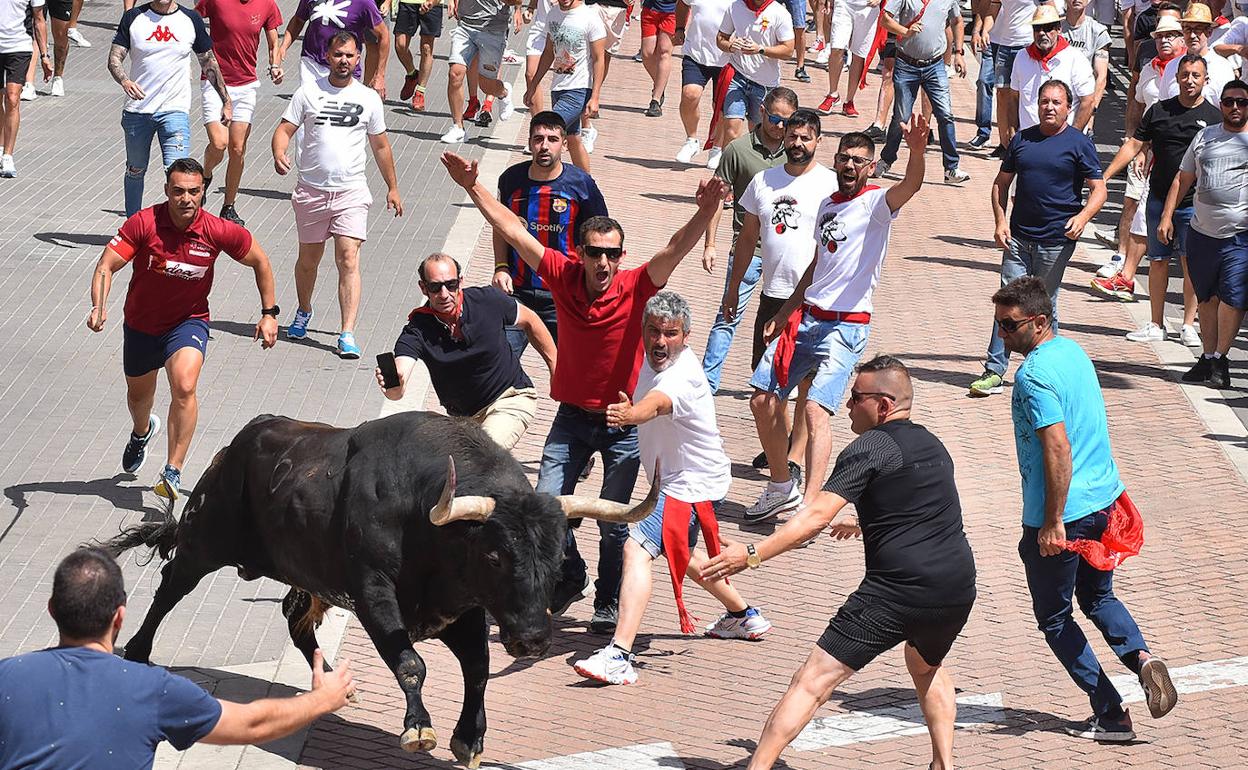 Varios hombres citan al toro de la mañana de este sábado. 