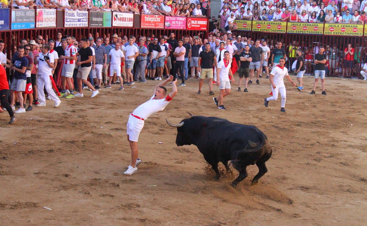 'Colibrí' deja varios heridos en Coria