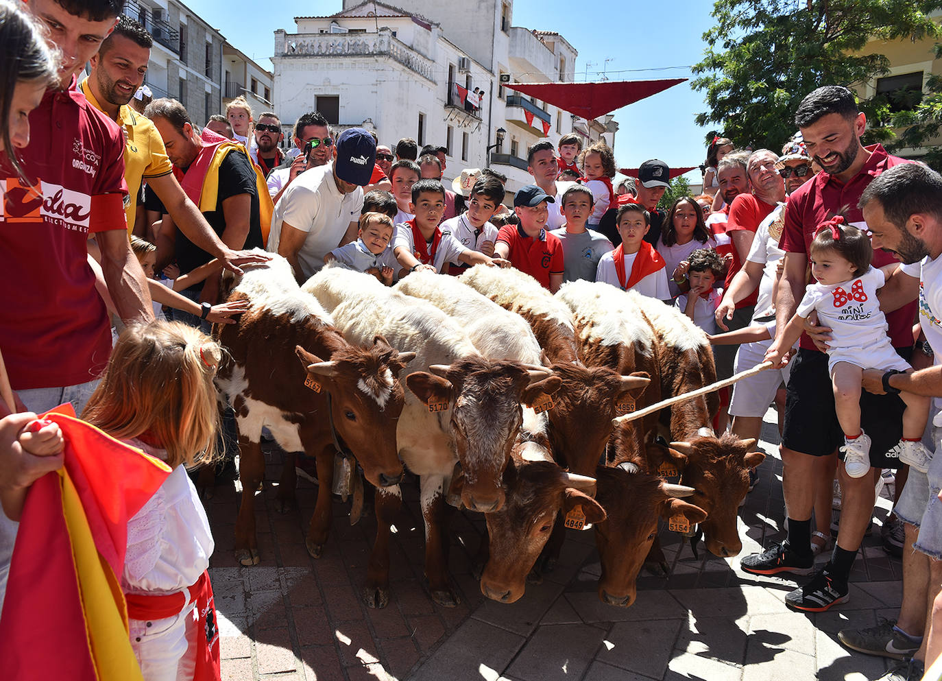 Encierro didáctico infantil. 