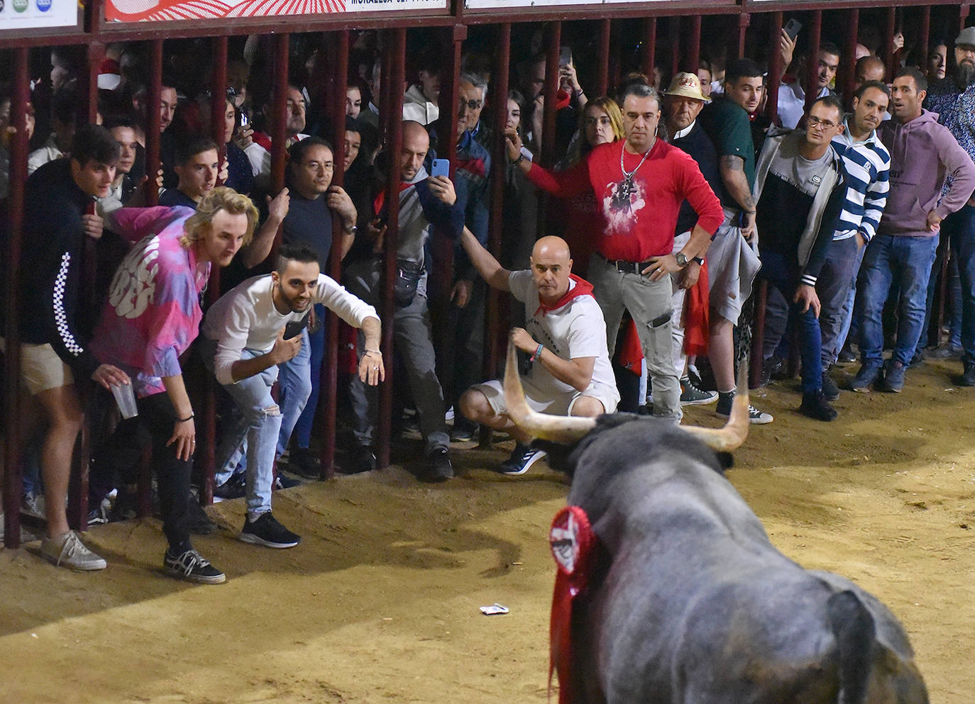 'Jilguerón', el toro de la madrugada del domingo 26 de junio. 