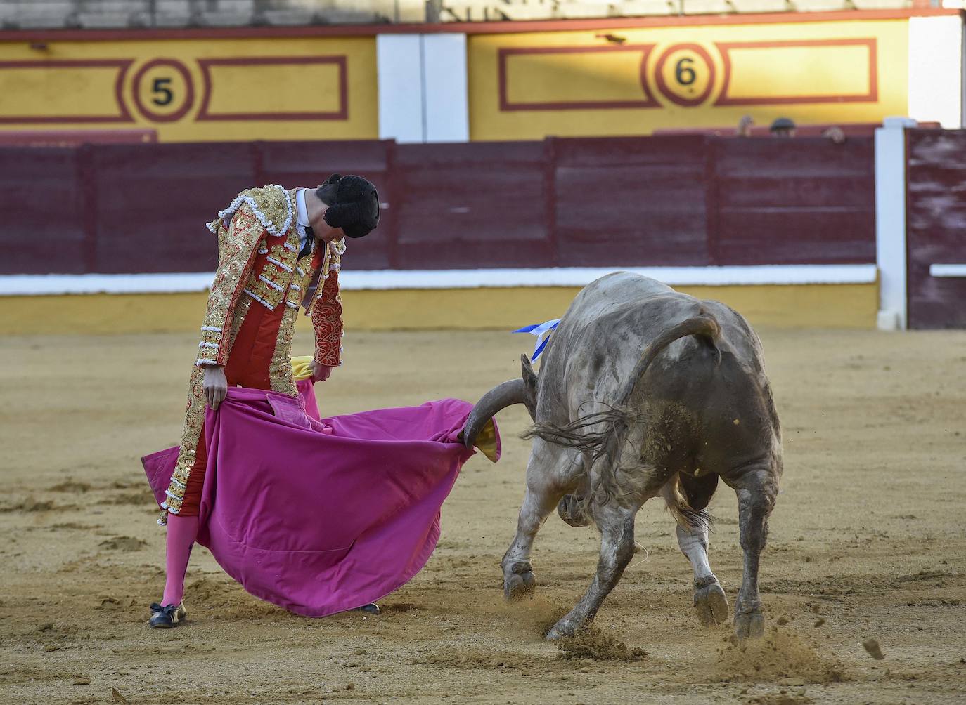 Fotos: Una excepcional novillada de Marca cierra la feria taurina de Badajoz