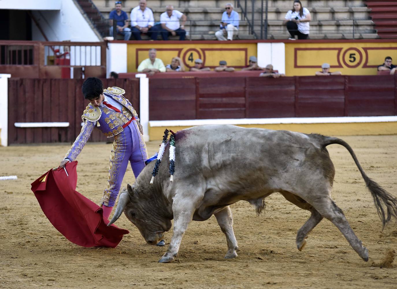 Fotos: Una excepcional novillada de Marca cierra la feria taurina de Badajoz