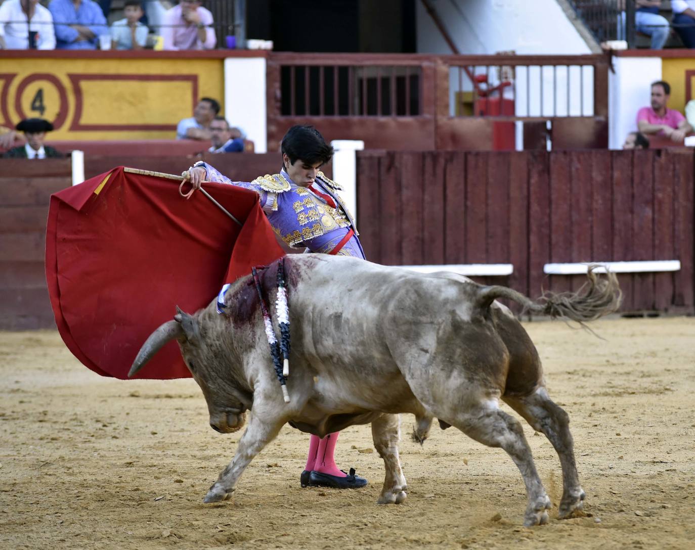 Fotos: Una excepcional novillada de Marca cierra la feria taurina de Badajoz