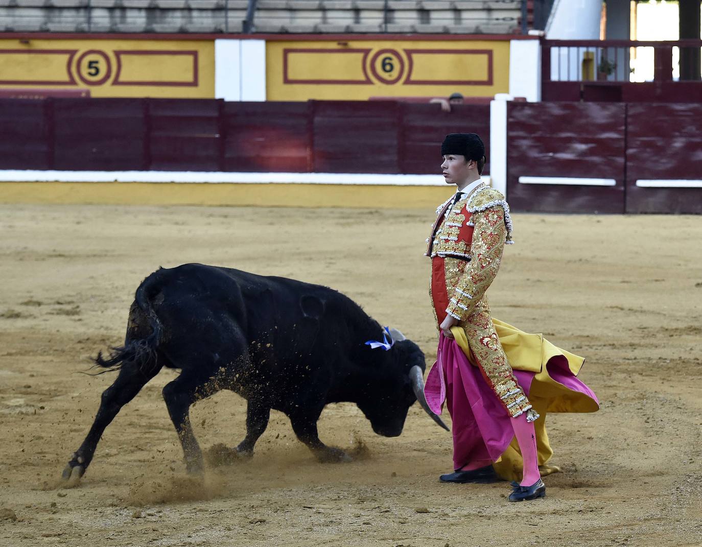 Fotos: Una excepcional novillada de Marca cierra la feria taurina de Badajoz