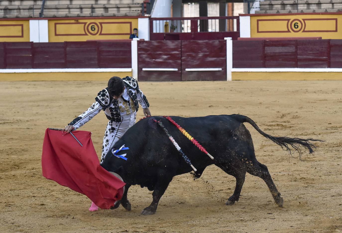 Fotos: Una excepcional novillada de Marca cierra la feria taurina de Badajoz