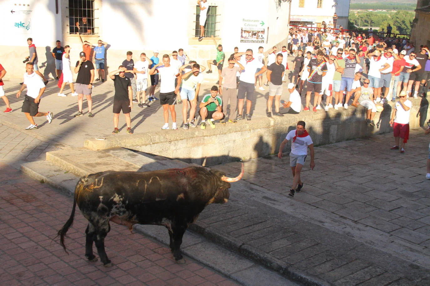 Encierro y lidia de 'Descuidao', el toro de la Peña El 27. 