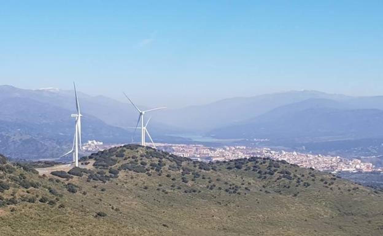 Imagen del parque eólico de Plasencia con el Valle del Jerte al fondo. 