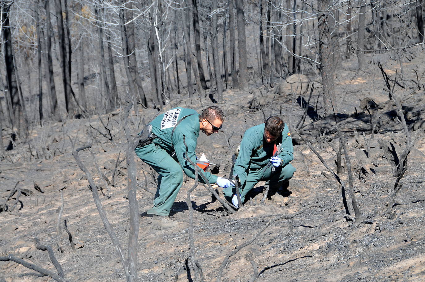 Incendio Sierra de Gata 2015