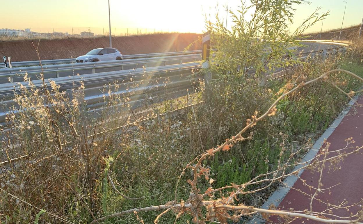 stado de una zona verde próxima al carril bici de la ronda sureste. 