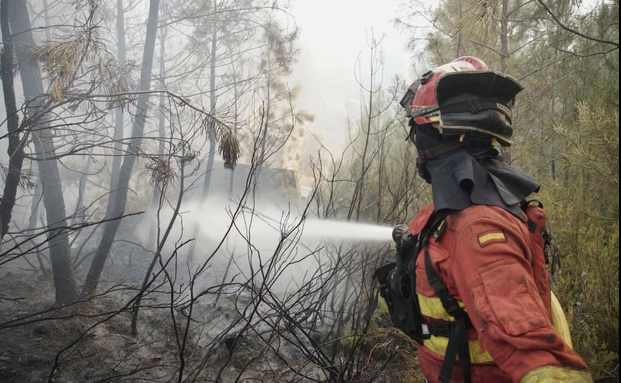 Uno de los efectivos de la UME trabajan en la extinción del fuego de Las Hurdes. 