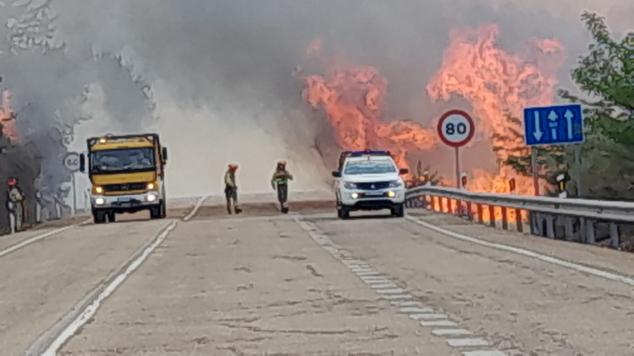 Fotos: Infoex trabaja en nuevo incendio incendio en Casas de Miravete, cerca de Monfragüe