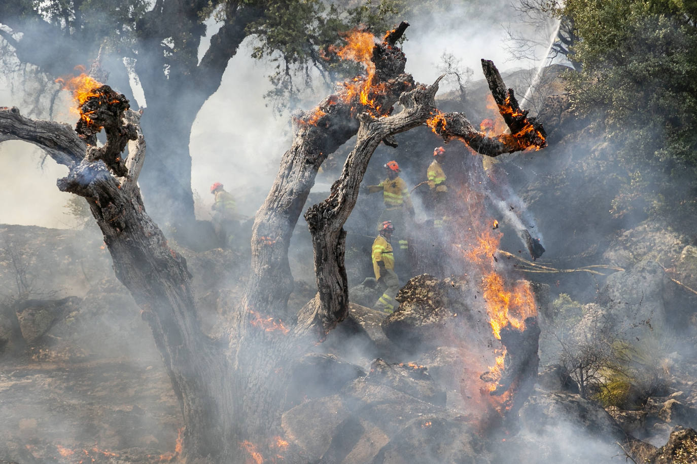 Fotos: Fuego en el monte público de Valcorchero
