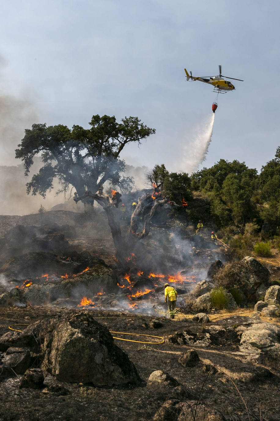 Fotos: Fuego en el monte público de Valcorchero