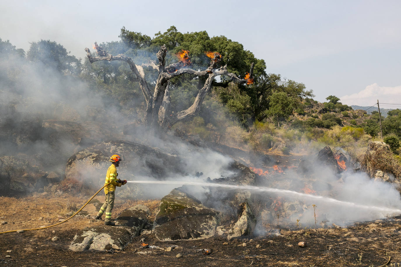 Fotos: Fuego en el monte público de Valcorchero