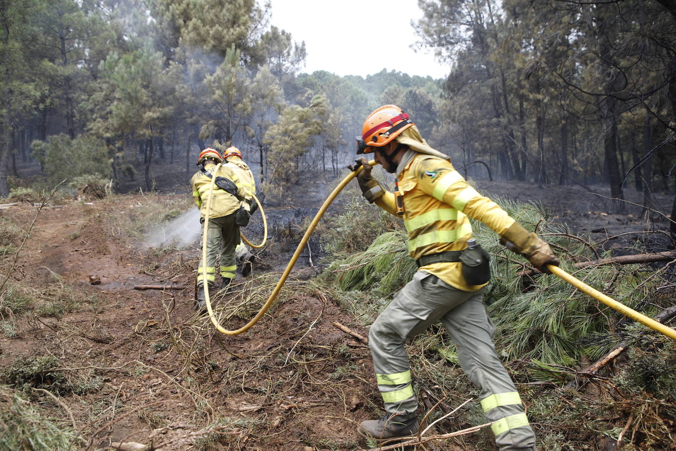 Fotos: El incendio de Sierra de Gata en imágenes