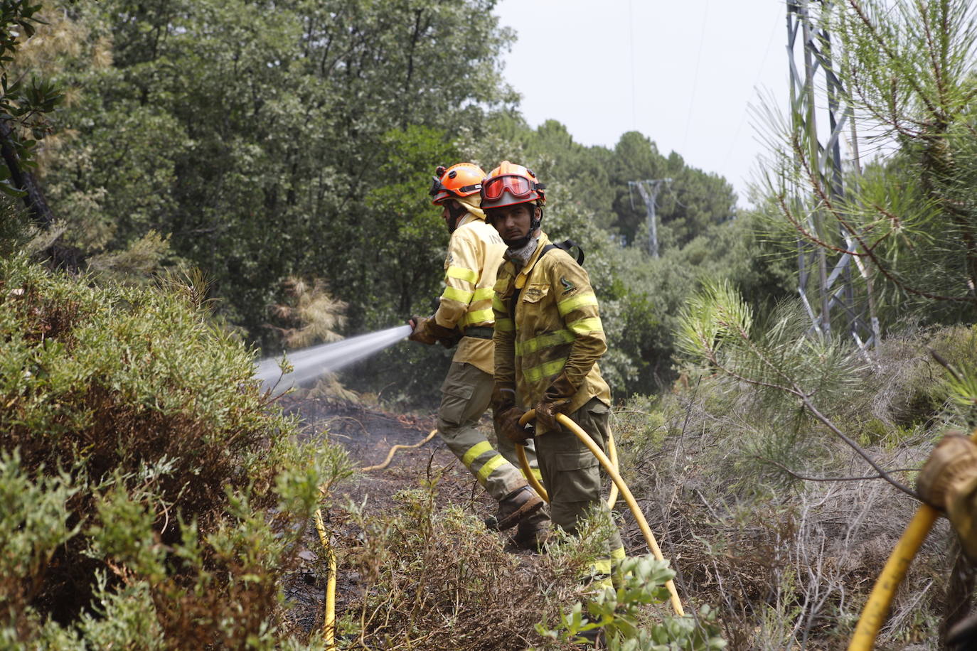 Fotos: El incendio de Sierra de Gata en imágenes