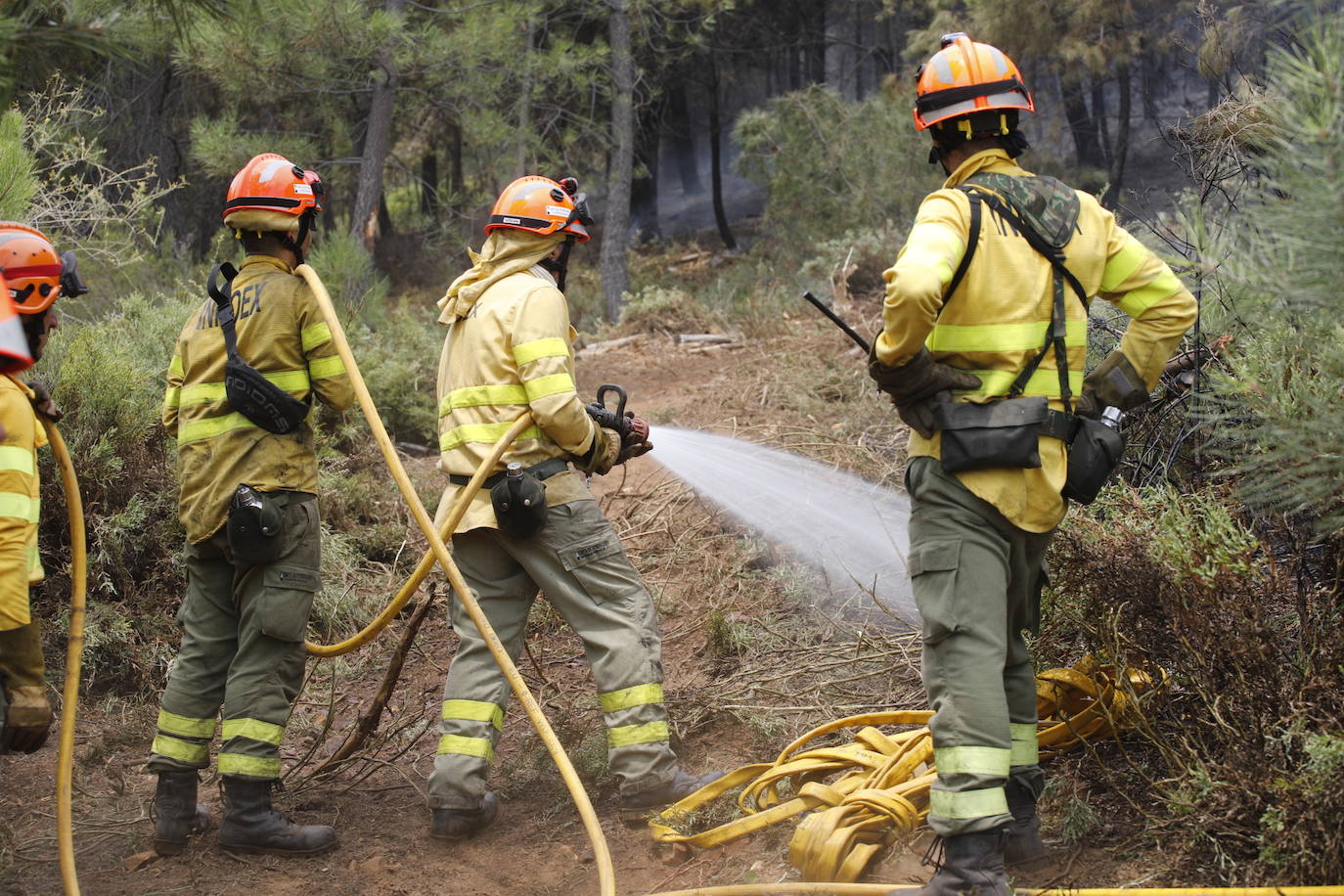 Fotos: El incendio de Sierra de Gata en imágenes