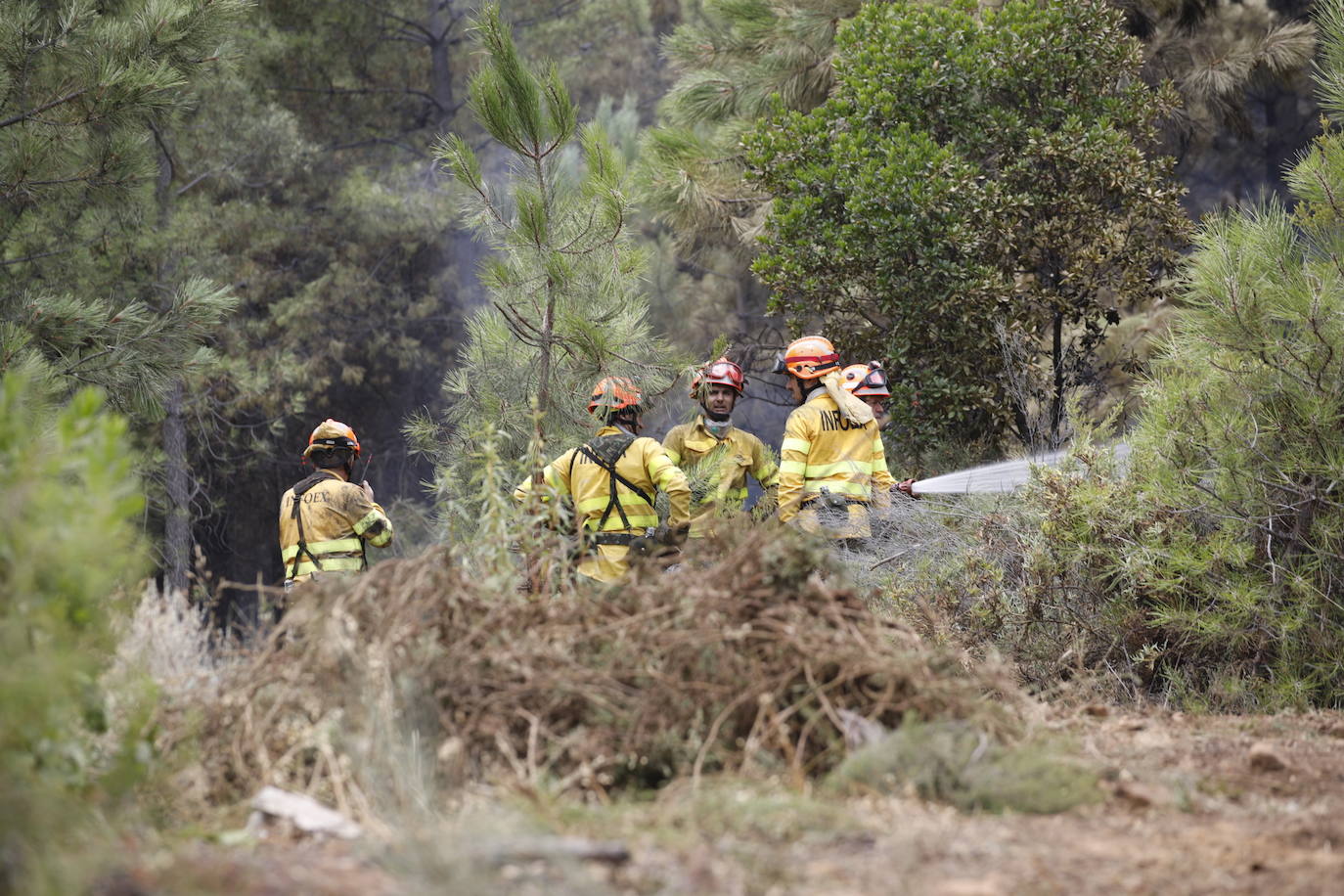 Fotos: El incendio de Sierra de Gata en imágenes