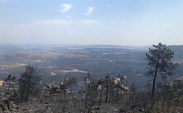 VÍDEO: El Halcón recorre este sábado parte del perímetro del incendio de Casas de Miravete | FOTO: Terreno quemado en el incendio de Monfragüe. 