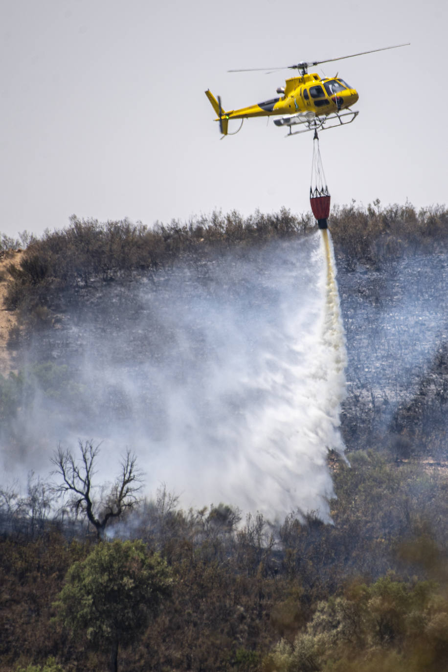 Medios aéreos trabajan en la extinción del incendio declarado en la zona próxima a Casas de Miravete.