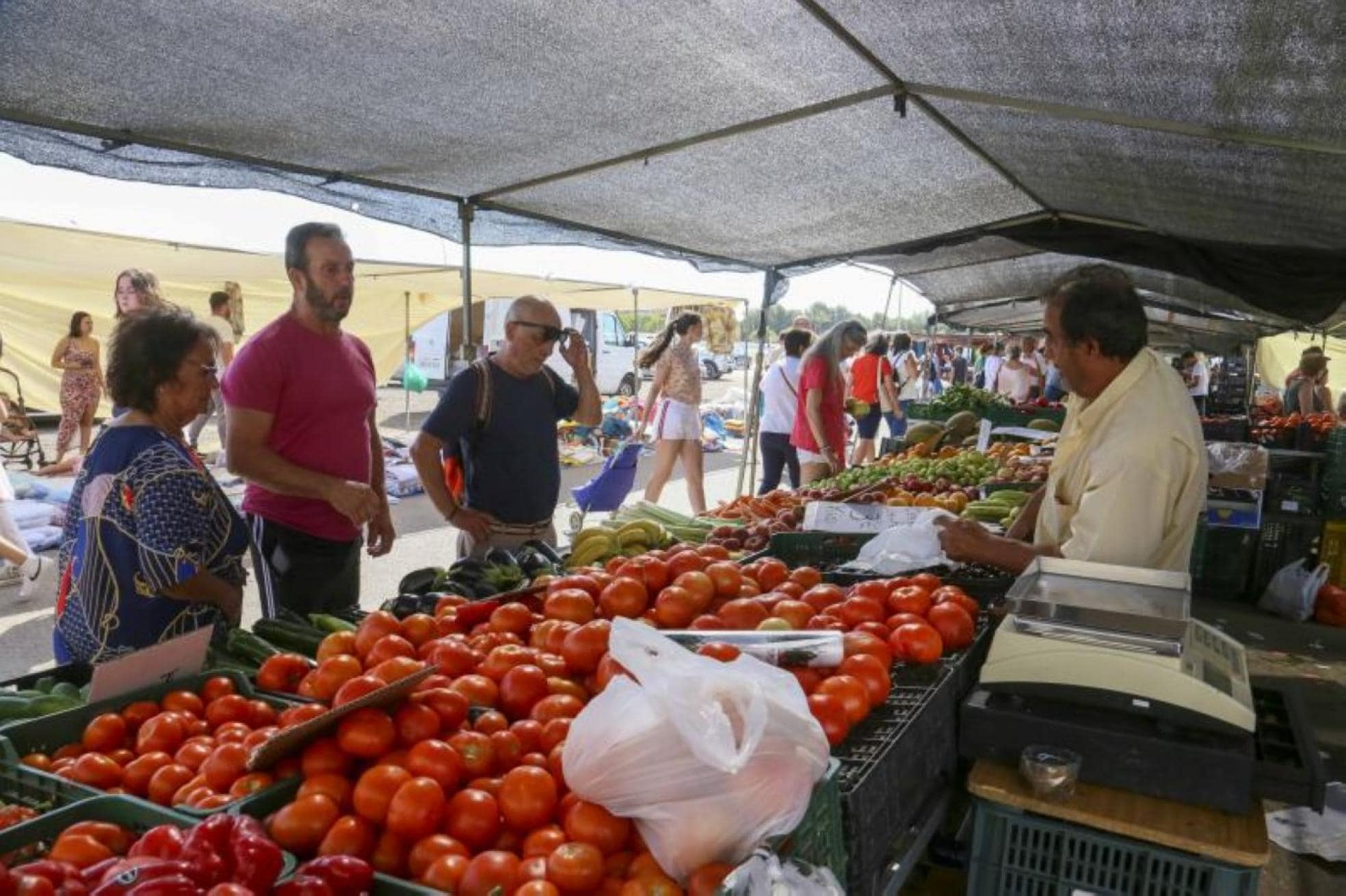 El mercadillo de Mérida no sale rentable» 