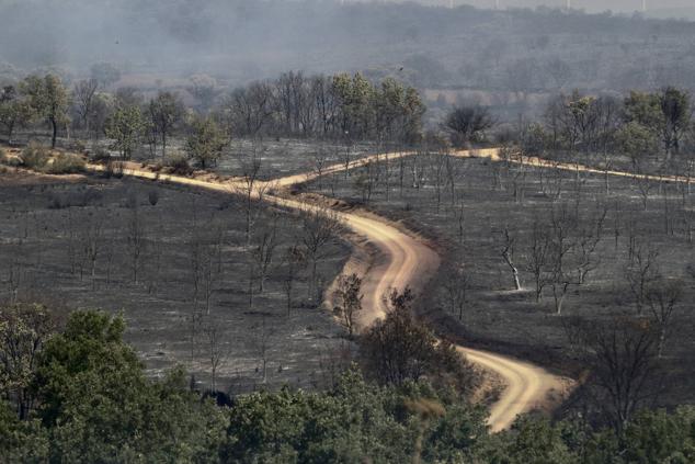 Zona afectada por el incendio forestal registrado en la comarca de Tábara