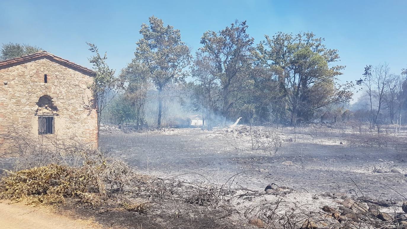 Fotos: Imágenes del incendio que ha tenido lugar este martes en Villanueva de la Vera