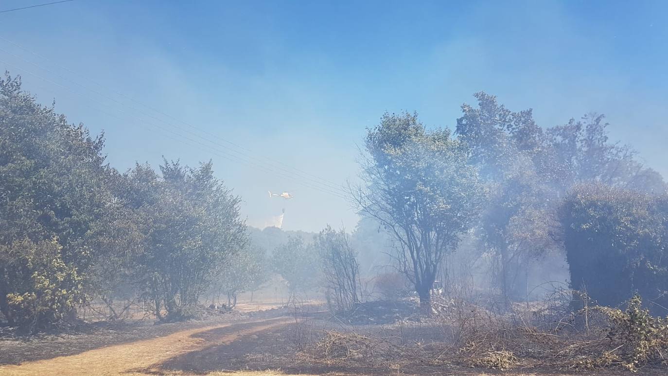 Fotos: Imágenes del incendio que ha tenido lugar este martes en Villanueva de la Vera