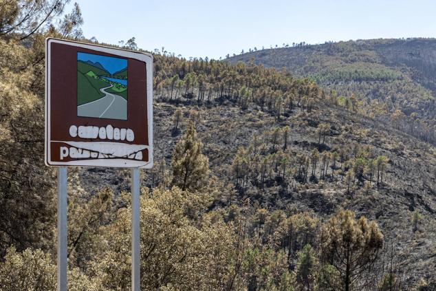 Fotos: Zona cero del incendio de Las Hurdes