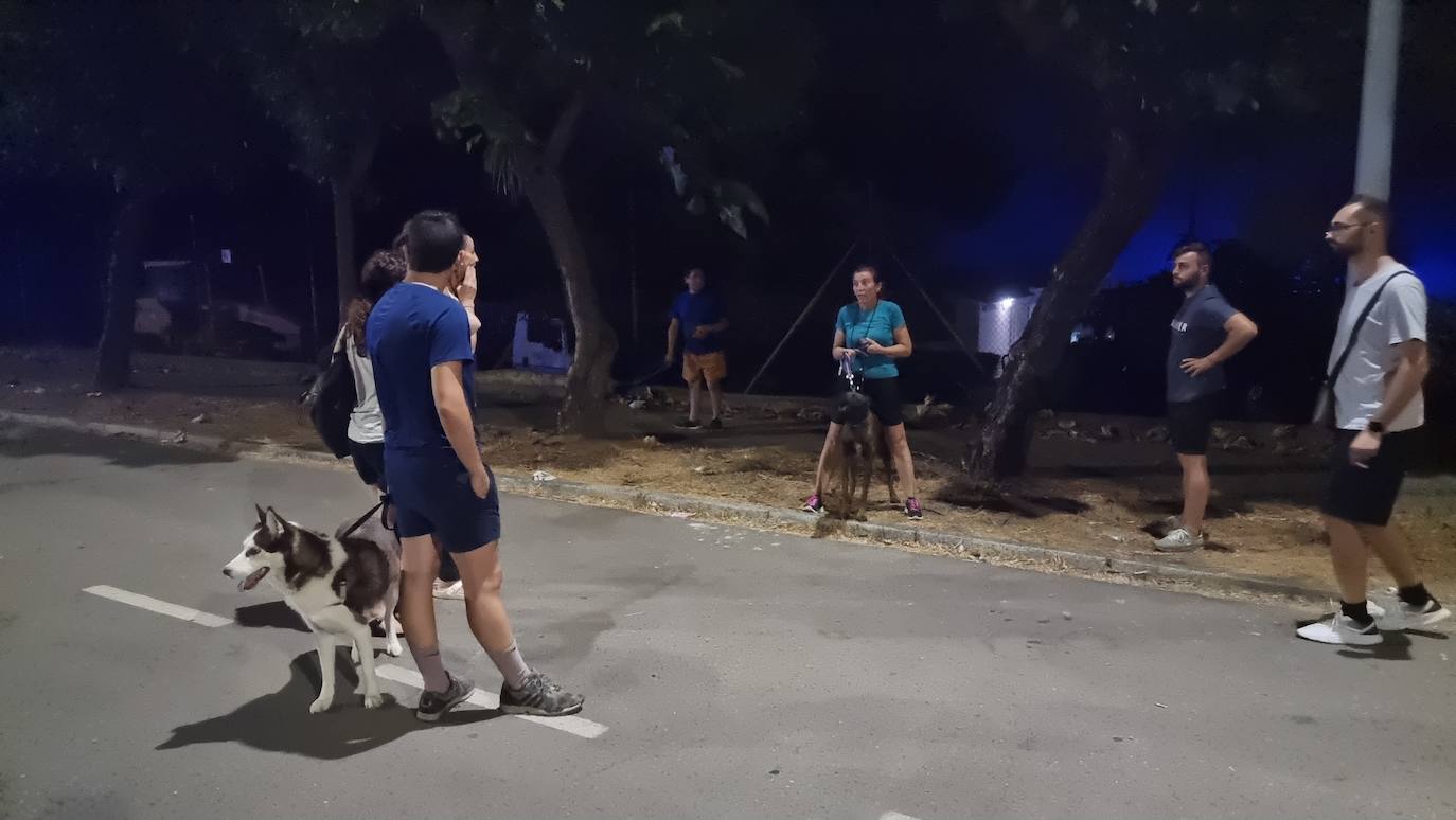 Fotos: Más de cien palmeras del vivero municipal de Mérida se queman en el incendio de El Prado