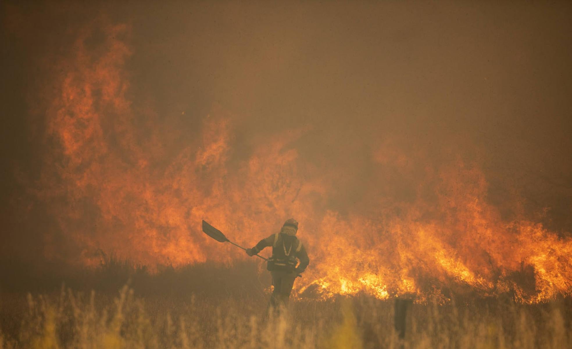 Un bombero se juega la vida para tratar de frenar el avance del fuego, el pasado 18 de junio, en la zamorana Sierra de la Culebra. 