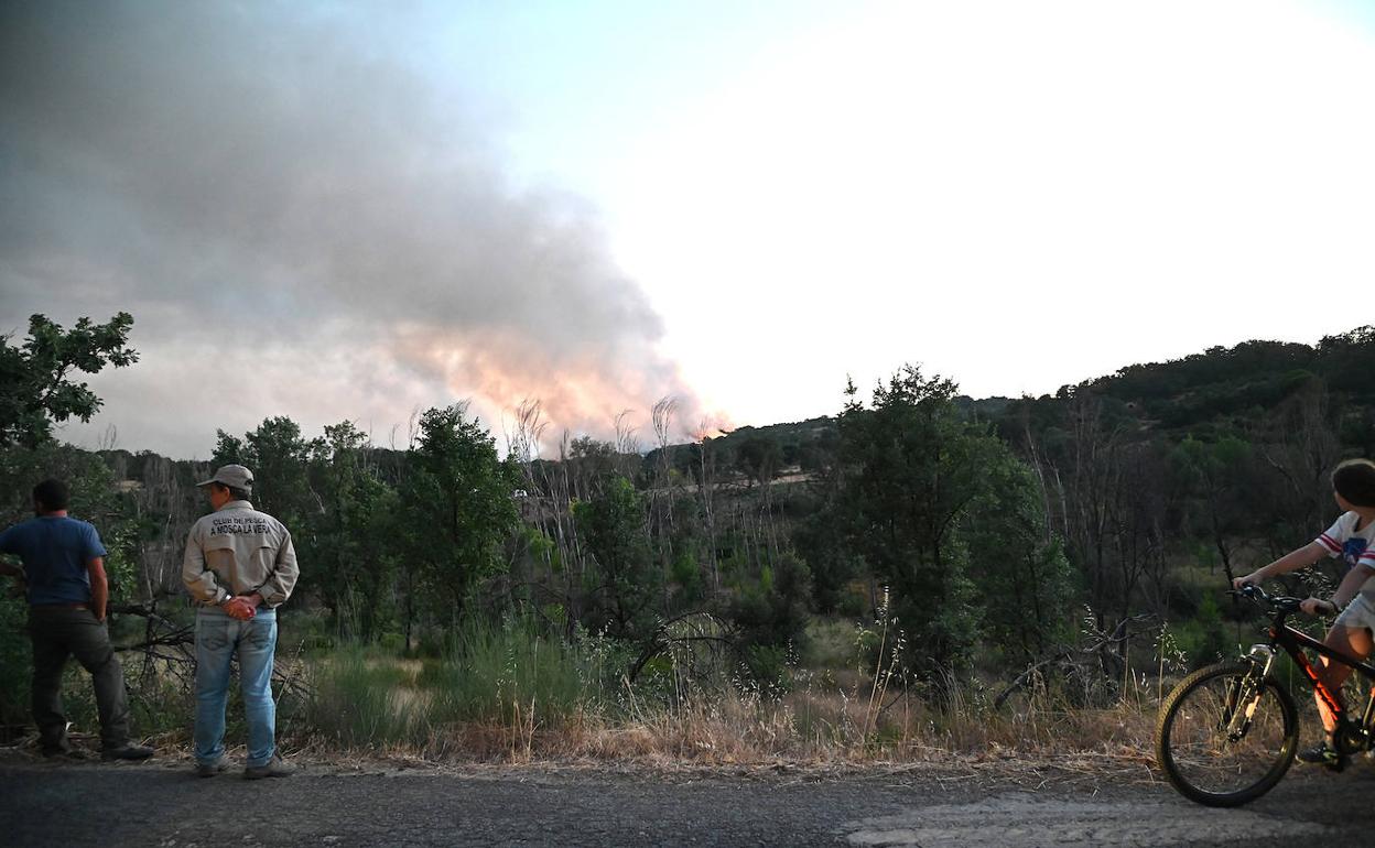 Imagen del incendio de la Vera cuando aún estaba activo. 