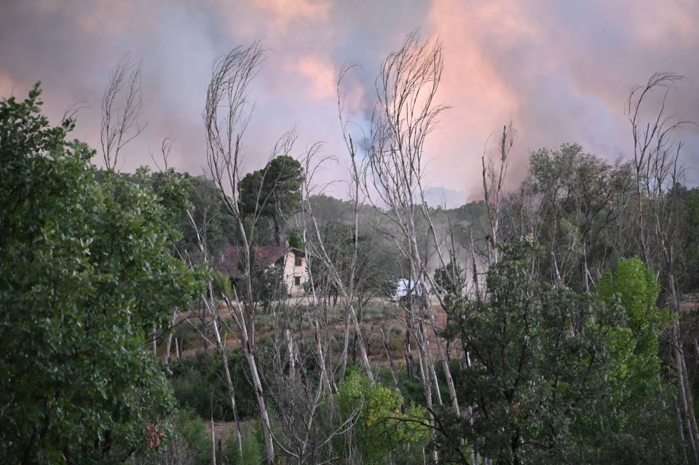 Fotos: Incendio forestal en Villanueva de la Vera 