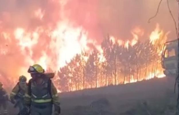 Bomberos forestales luchando este miércoles contra el fuego de la Sierra de Gata. 