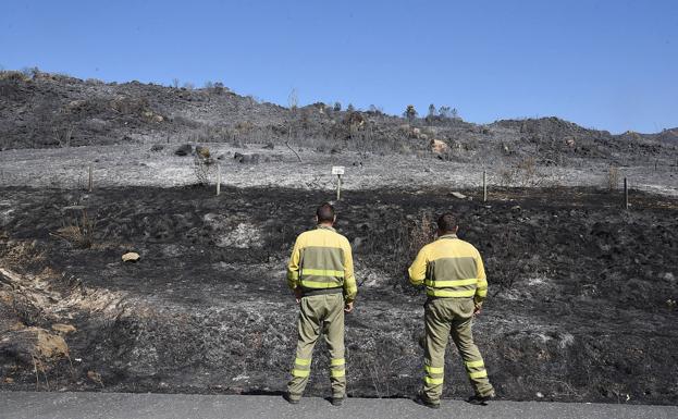 El incendio de la Sierra de Gata pudo ser «el peor del verano»