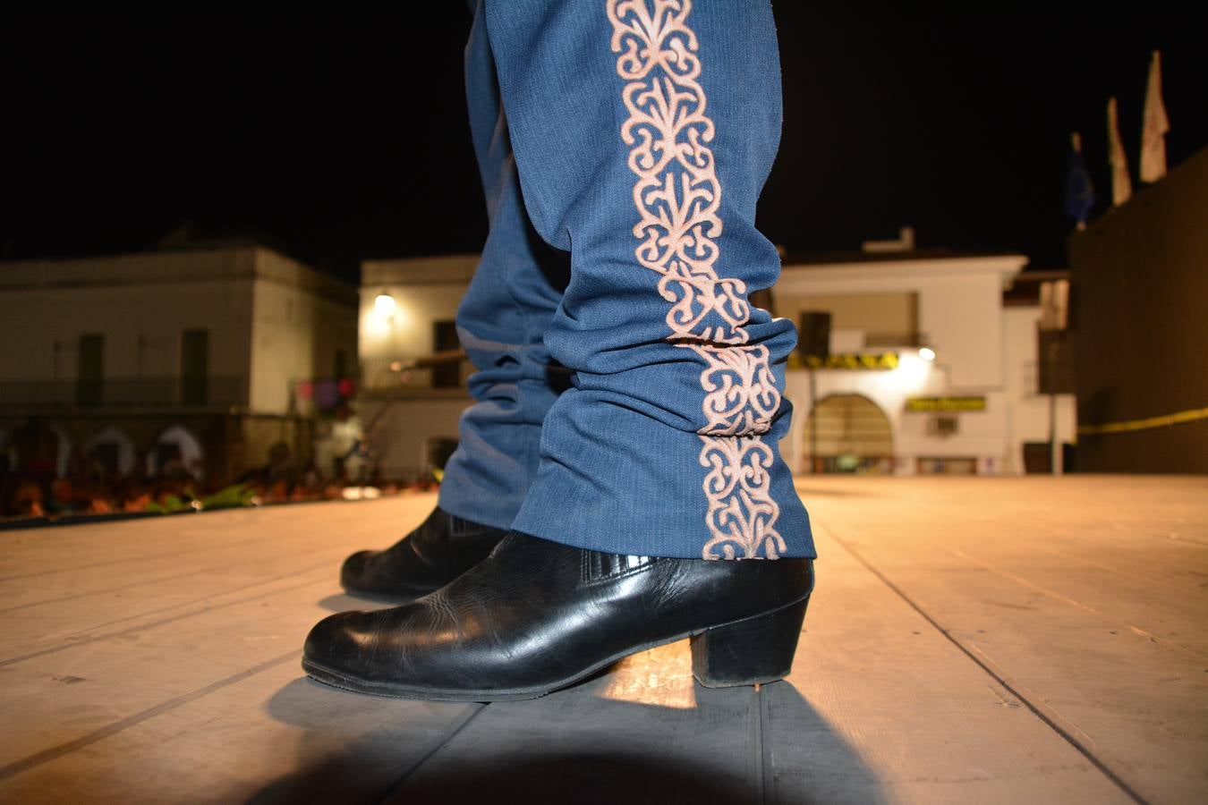 Fotos: XL Festival Internacional de la Sierra