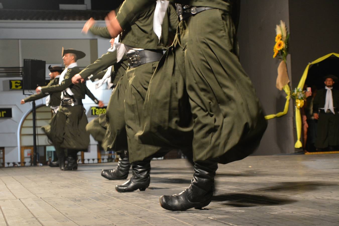 Fotos: XL Festival Internacional de la Sierra