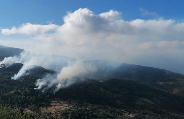 Imagen de la columna de humo del incendio declarado ayer en La Garganta.